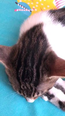 挺好的，就是很久没穿过海绵的了，要适应一下