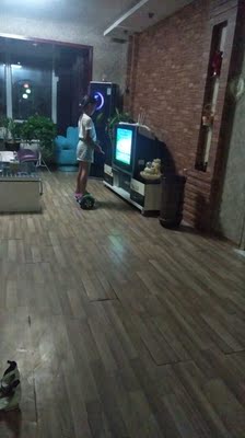 大家谈谈豹行平衡车质量怎么样，透过五个月使用看真相