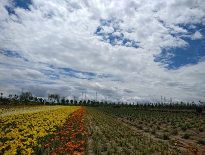 不紧。运动的时候，不能减缓胸部的跳动。不建议买。