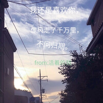 新款很好看，适合少女，质量还可以，软软的，五星好评