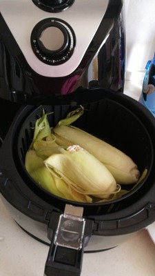 火爆的利仁空气炸锅怎么样，真相如何,不看后悔