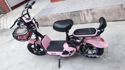 48V新款思帝诺电动车成人电动自行车男女性电瓶车小型锂电代步车