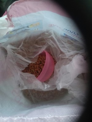 Source love猫粮在行业中排第几Source love猫粮价格,人气怎么样,值得选购吗,