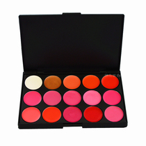 Lipstick board lip color plate professional makeup artist photo studio makeup artist dedicated 15-color lipstick board