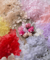 Half-through fairy three-dimensional flower chips pressed Zou Ou Gena petals handmade antique Barbie doll decoration mini flower accessories