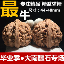 Wenwen Walnut Southern Xinjiang Stone Lion Head Deer Extra Large Collection Level 45-48-50mm Old Tree Wild Wenplay Men