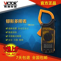 Victory VICTOR DM6266 clamp meter digital clamp meter