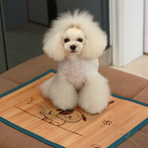 狗凉席狗狗冰垫 宠物冰垫  垫子狗窝 泰迪垫子耐咬垫子 夏季凉席