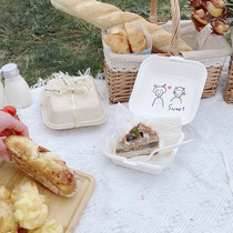 10 ins style solid color lunch box Spring outing Autumn outing picnic supplies Outing cake bread box Fruit packing box