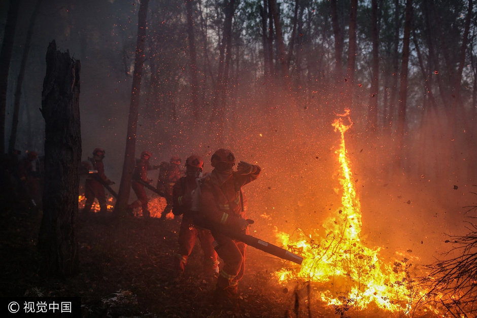 直击内蒙古森林大火