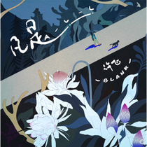 Genuine: (Xu Fei: Anything) 2019 New Album CD lyrics this pop music disc CD