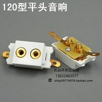 Type 120 audio module audio terminal audio panel can be equipped with switch panel and ground plug