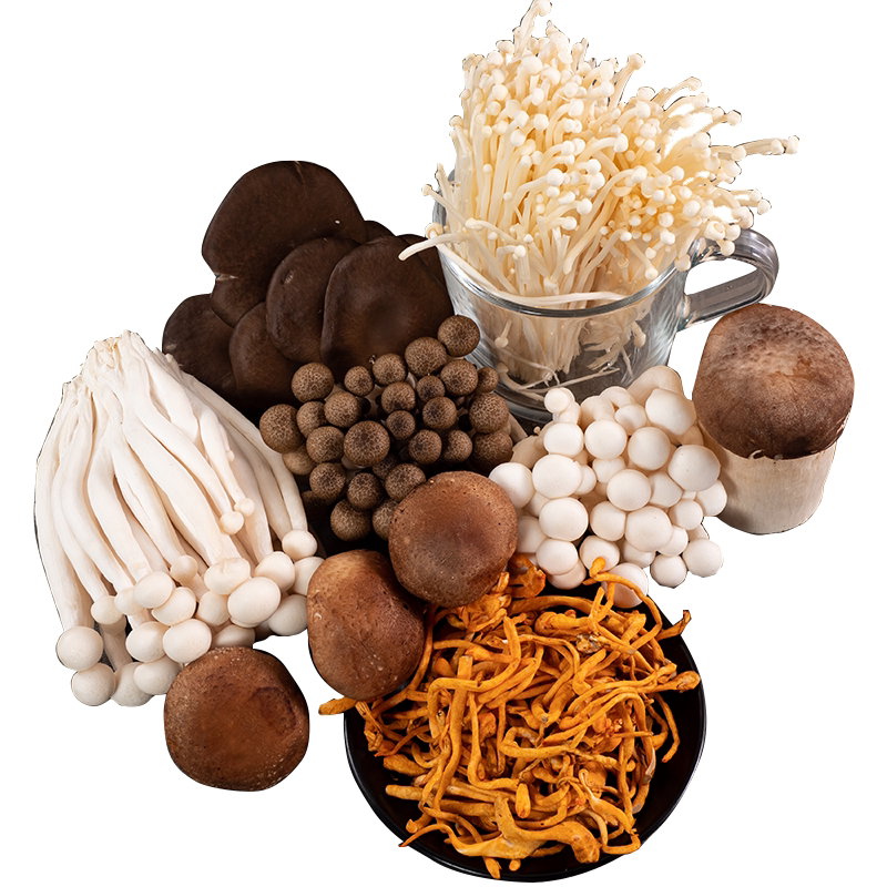 【南叶】八鲜菇菌菇组合1000g(热品库)