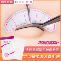 Marry eyelashes and isolation paper to separate eyelashes stickers up and down