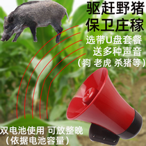 Charging recording horn dual battery field night drive wild boar beast scare Wolf monkey Bear rabbit Bird Bird Bird Finch Orchard artifact