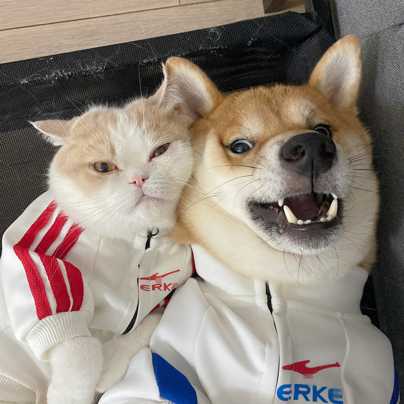 O1CN01EWwE1O201PaWMu7U1_!!1033996789.jpg