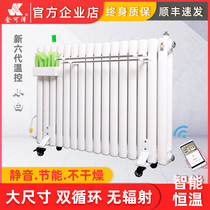 Smart home electric heater Water heater radiator Water saving energy saving Bedroom hydroelectric heating heater