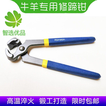 Hoof repair tools Horse toes Horse cattle and sheep scissors Beef cattle Nail pliers Raising cattle Nail pulling Cows Cattle and sheep nail pliers