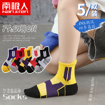 Children's socks Spring and Autumn Festival Pure Cotton Boys Professional Basketball socks