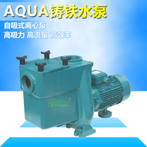 AQUA Aike Swimming Pool Equipment Filter Circular Water Pump Cast Iron Water Pump Silent Booster Waterproof AT Series