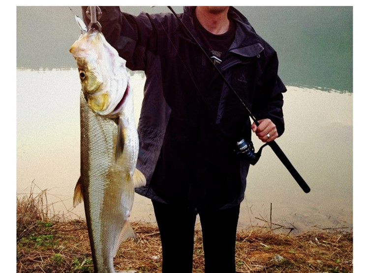 巨洋宽嘴鱼全息蝉2代2.5~20g路亚亮片翘嘴路亚饵