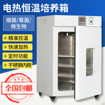 Electric constant temperature incubator laboratory biochemical box mold bacteria microbial light artificial climate box test box