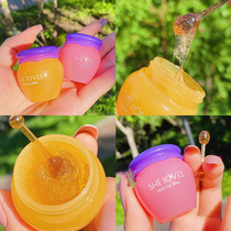Steal Pooh honey pot honey jar lip balm sleep lip mask moisturizing moisturizing and exfoliating