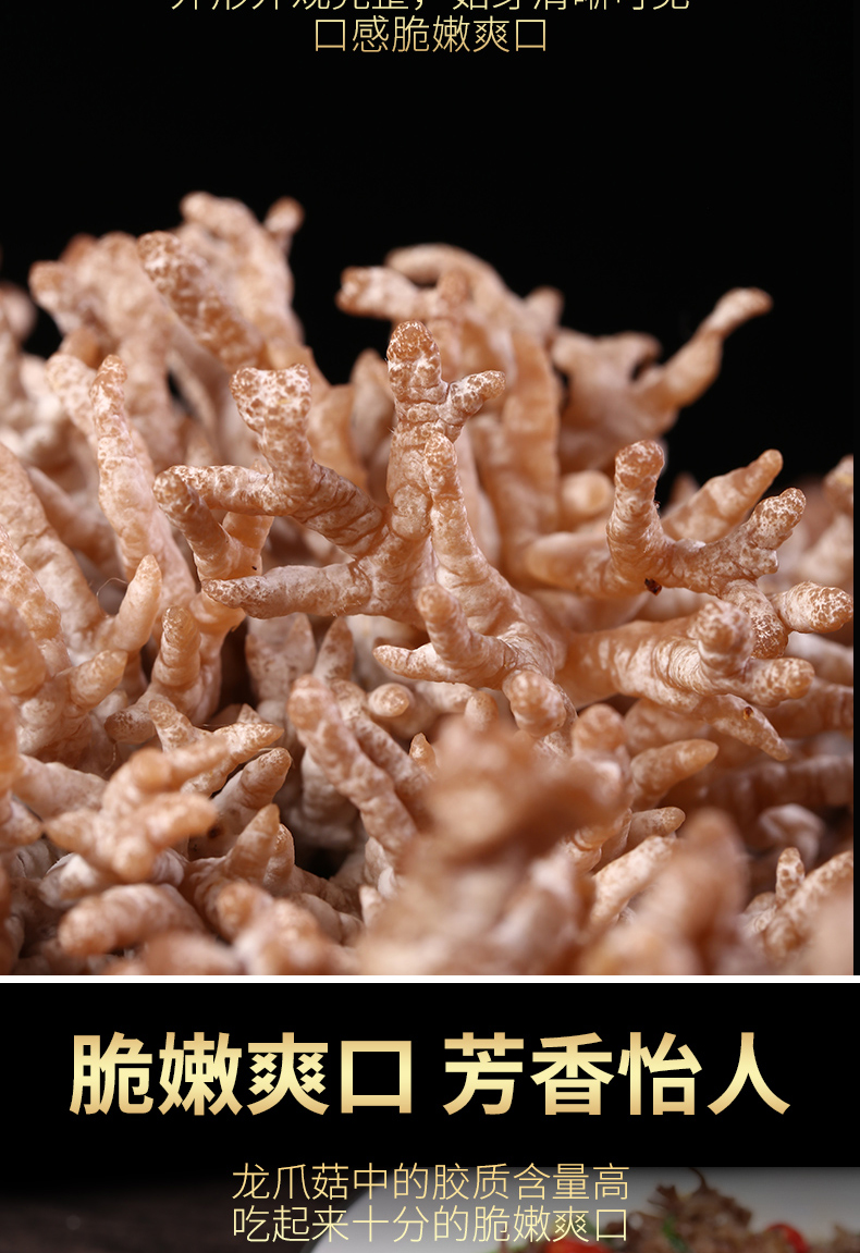 【顺丰速发】新鲜龙爪菇1斤 云南当季山珍菌类蘑菇珊瑚菌煲汤火锅