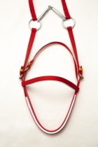 Xinjiang Yili Zanzhis craft supplies (horse scraper-horse dragon head)