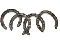 Xinjiang Yili Kazans craft supplies (Ma Palm 2)