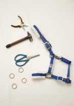 Xinjiang Yili Zanzits craft supplies (Ma Dragon)