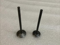 17 T4 cross-country motorcycle CB250-F large cylinder head engine valve intake exhaust valve