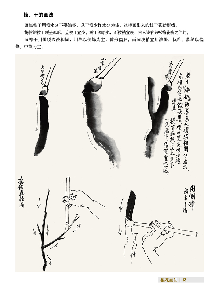国画技法入门·一学就会·梅花画法