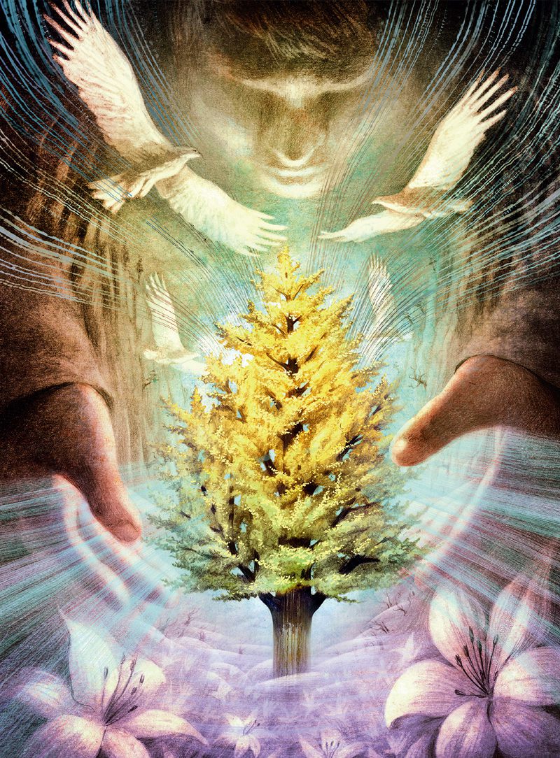 【当当网 正版童书】世界著名插画家插图版·根鸟 中国首位国际安徒生