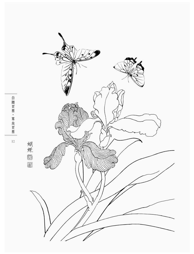 初学者之友-白描百图.草虫百图