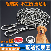 304 Stainless Steel Dog Chain Sub Large Fierce Dog Iron Chain Gold Wool Medium Dog Anti Bolt Dog Chain Small Dog Traction Rope
