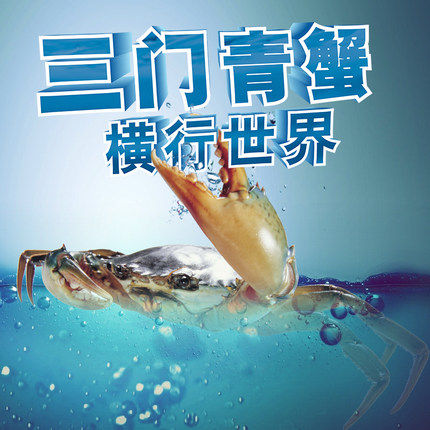 正宗三门青蟹专卖 肉蟹 一只一斤 鲜活海鲜水产肥螃蟹 顺丰包邮_不