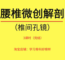 2019 Orthopedics Self-Learning Video Tutorial Lumbar Minimally Invasive Anatomical Spinal Canal spinal canal clinical application