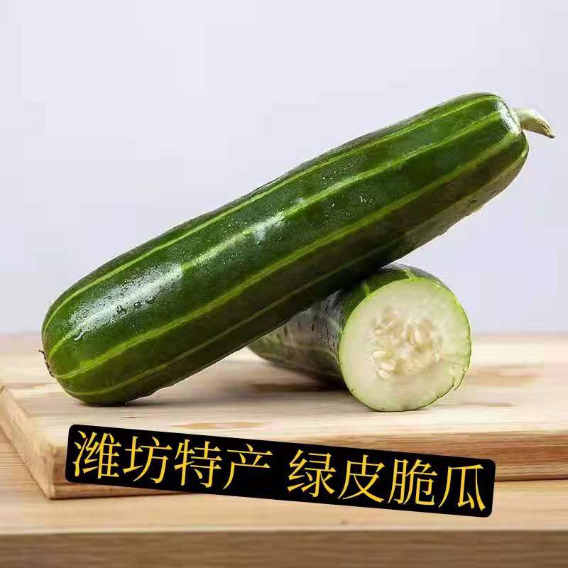 山东潍坊脆瓜稍瓜烧瓜菜瓜青龙菜瓜孕妇老人水果非羊角蜜