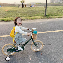 Joker rattan bicycle scooter basket