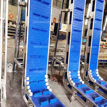 Dishwasher special plastic chain conveyor PPl chain conveyor belt POM fruit vegetable and seafood cleaning line