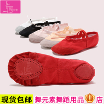 Dance elements childrens dance shoes womens soft bottom practice Shoes ballet shoes adult mens cat claw shoes yoga shape shoes Black