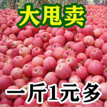 Red Fuji apple 10 pounds pregnant fruit fresh crisp sweet rock sugar heart ugly Pingguo 5 large Pingguo whole box batch 3
