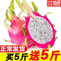 Fresh dragon fruit white heart 10 kg with a box of seasonal whole box pregnant fruit white meat sweet and juicy 5 kg batch