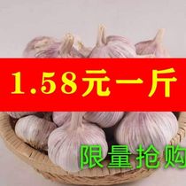 Dried garlic head 10 kg batch of fresh garlic purple and white skin non-unique head garlic cold garlic seeds help farmers 5 bad packages