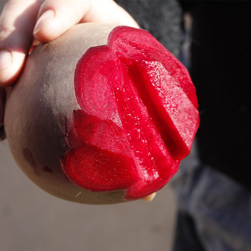 欧洲引进品种生态绿色甜菜头红叶菜火焰菜beta vulgaris五斤装