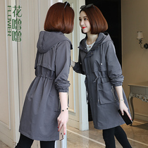 In February and August the female 2021 New loose Korean version of Joker long little lady expensive lady early autumn windbreaker