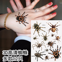 Solid 3d Scar Arm Wrists wrists Hydra Silk Flat Spider Garden Spider Webworm Spider Tattoo Patch Waterproof CX012