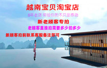 Original Herbal Spray Liquid Agent 100ml Bottle Falls to Sprain and Loose Muscles and Loose Waist Injury