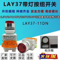 Shanghai Gangbo LAY37-11DN Y090-11DN with light self-reset button switch